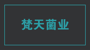 食品行业青海冲锋衣设计款式